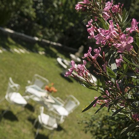 Αρχοντικό Πέτρας 1821 Ξενοδοχείο Εξωτερικό φωτογραφία